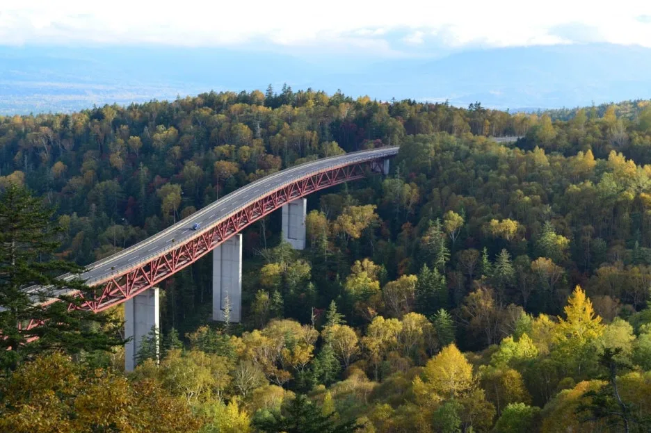 %EB%AF%B8%EC%BF%A0%EB%8B%88%EA%B3%A0%EA%B2%8C1.jpg?type=w1