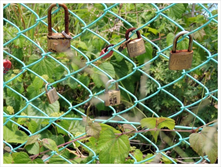 DSCN1423.JPG?type=w1