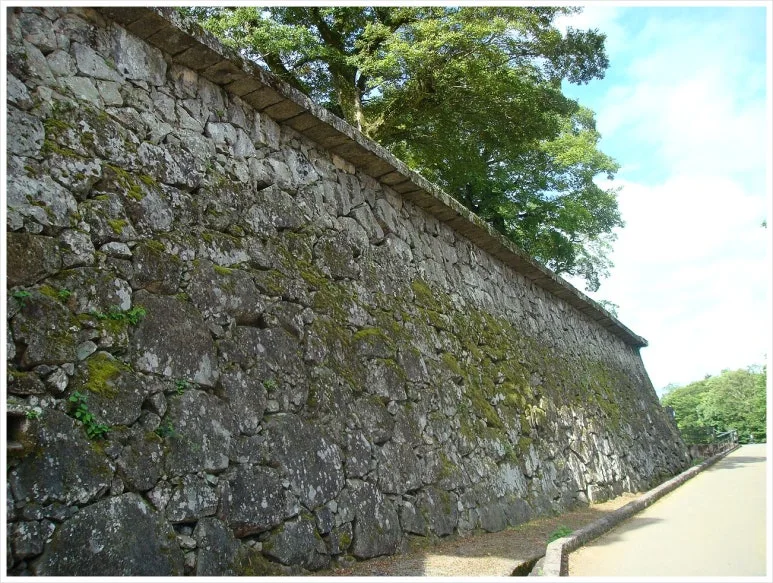 SE-7eae3428-c61d-47a7-b3c1-91787a693475.jpg?type=w773