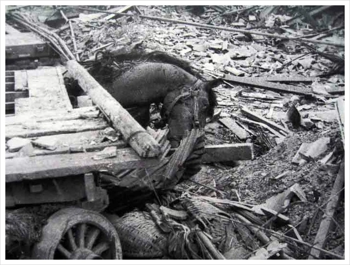 a0034259_104142100.jpg?type=w1