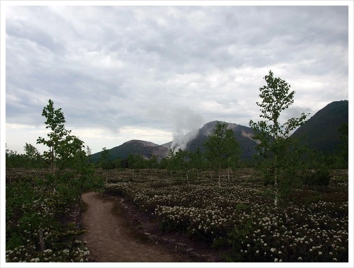 %E3%83%84%E3%83%84%E3%82%B8%E3%83%B6%E5%8E%9Fs-thumb-680xauto-45288.jpg?type=w2