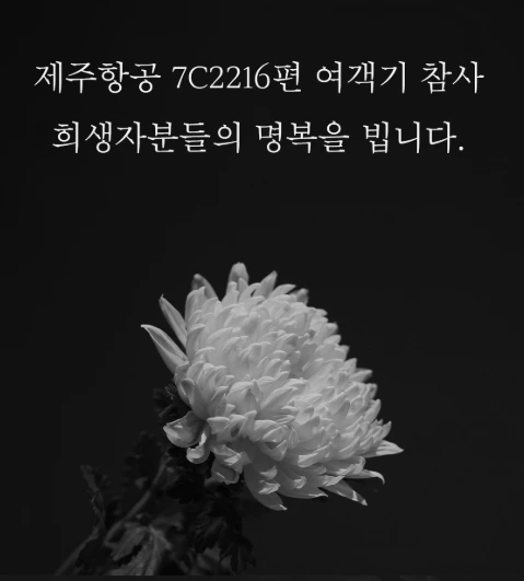 스크린샷_3-1-2025_185230_blog.naver.com.jpeg