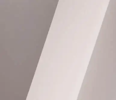 11111_(2).jpg?type=w386