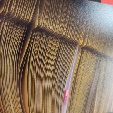 20230529_095855.jpg?type=w386