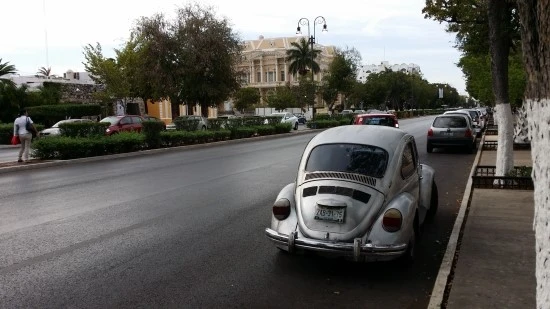 20160513_183510.jpg?type=w2