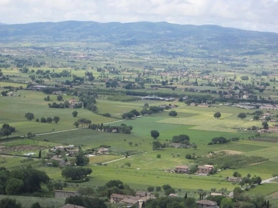 %BD%C3%C4%A5%B8%AE%BE%C6%BB%E7%C1%F8_457.jpg?type=w2