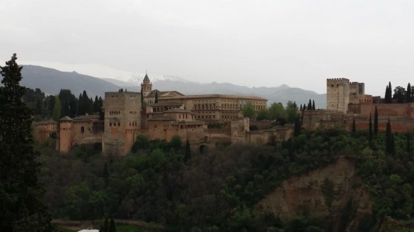 20180423_111836.jpg?type=w773