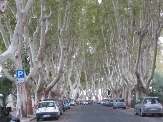 %C0%CC%C5%BB%B8%AE%BE%C6%BF%A9%C7%E0_2012.10_155.jpg?type=w2