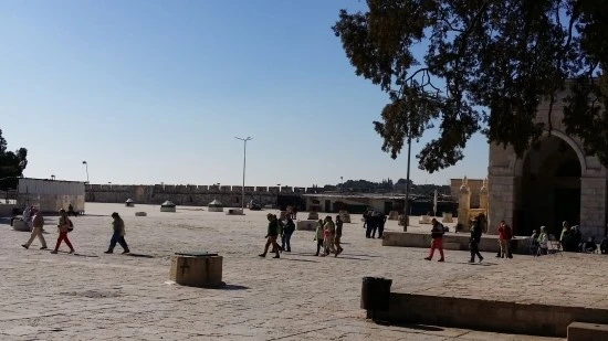 20170425_084019.jpg?type=w2