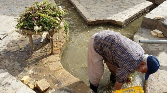 20170413_164721.jpg?type=w2