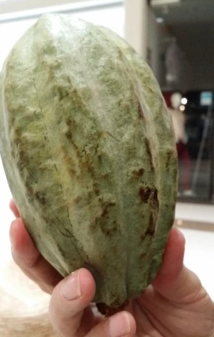 20160512_190925.jpg?type=w2