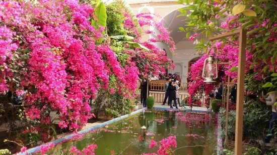 20170412_154607.jpg?type=w2