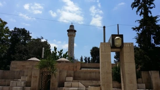 20170424_115109.jpg?type=w2