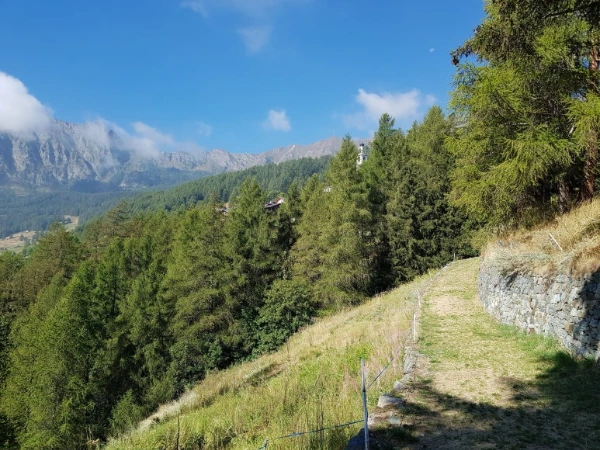 20230905_104438.jpg?type=w773