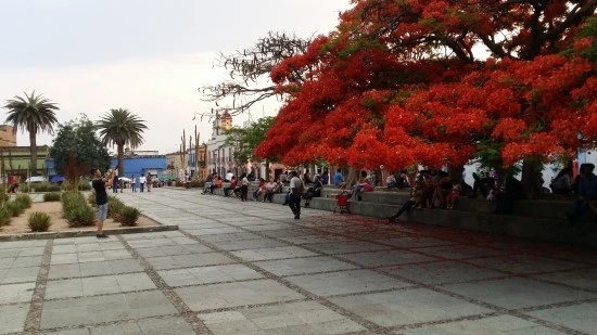 20160510_201803.jpg?type=w2