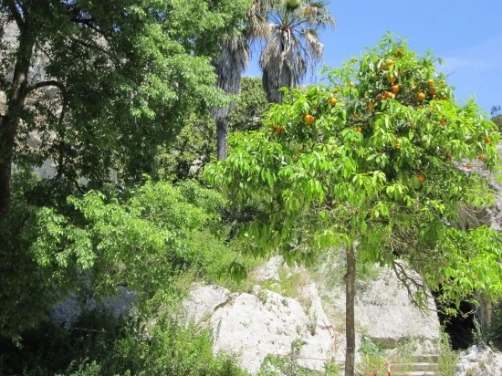 %BD%C3%C4%A5%B8%AE%BE%C6%BB%E7%C1%F8_032.jpg?type=w2