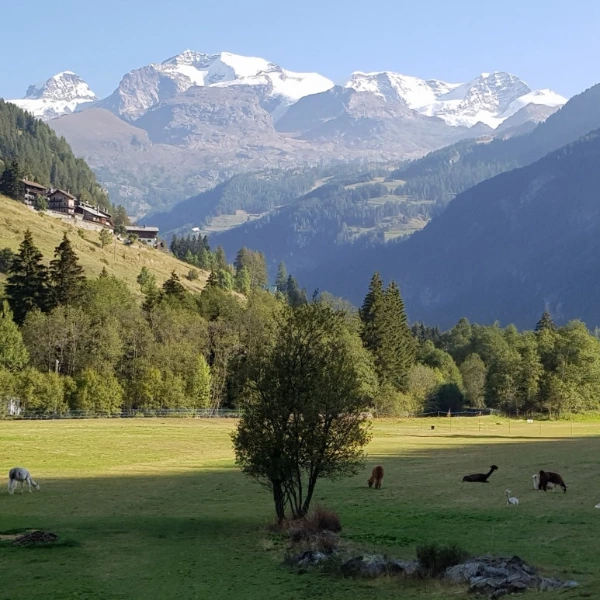 20230905_141442.jpg?type=w773