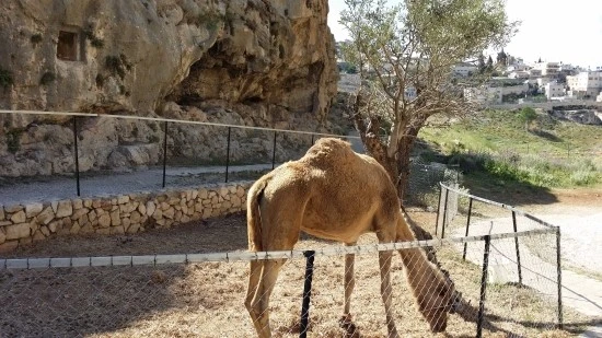 20170424_094207.jpg?type=w2