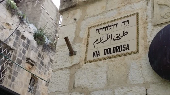 20170422_094818.jpg?type=w2