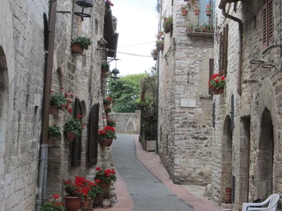 %BD%C3%C4%A5%B8%AE%BE%C6%BB%E7%C1%F8_445.jpg?type=w2