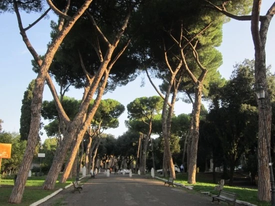 %C0%CC%C5%BB%B8%AE%BE%C6%BF%A9%C7%E0_2012.10_045.jpg?type=w2