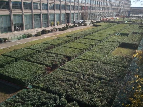 %C0%CC%C5%BB%B8%AE%BE%C6%BF%A9%C7%E0_2012.10_1031.jpg?type=w2