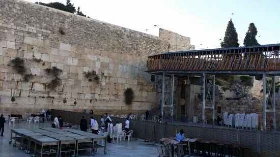 20170425_072352.jpg?type=w2