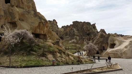 20170405_115258.jpg?type=w2