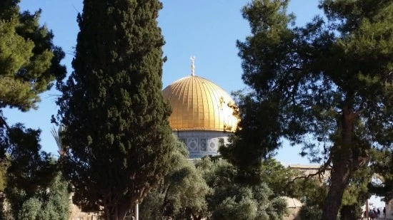 20170425_083811.jpg?type=w2