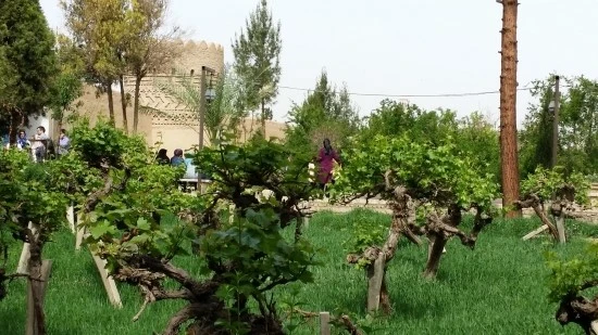 20170412_104509.jpg?type=w2