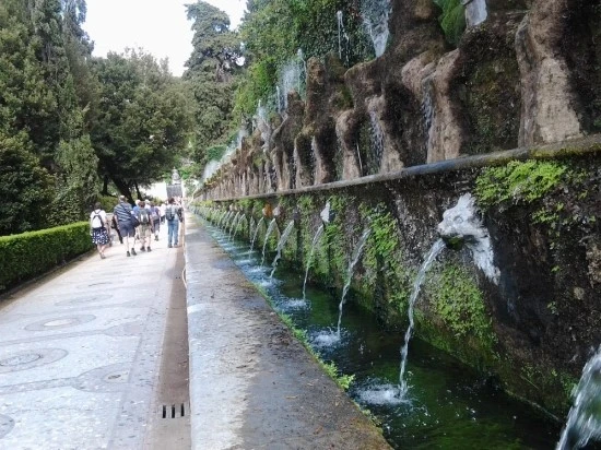 PHOTO_0019.jpg?type=w2