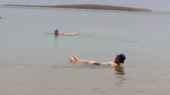 20170423_135753.jpg?type=w2