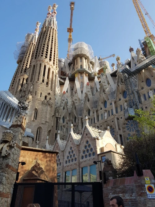 1527389400636.jpeg?type=w773