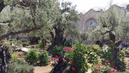 20170424_112405.jpg?type=w2