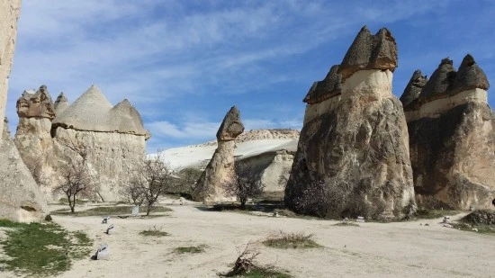 20170405_152843.jpg?type=w2