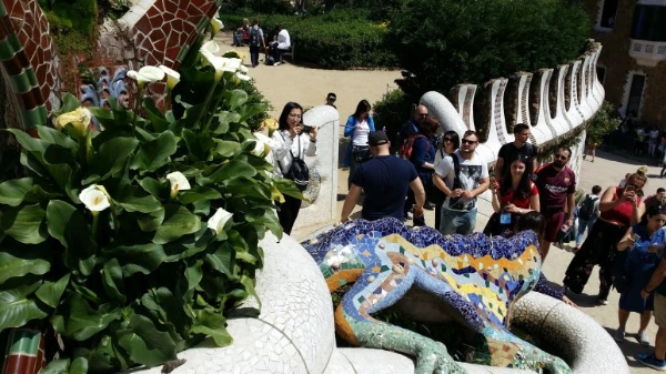 20180420_142131.jpg?type=w773