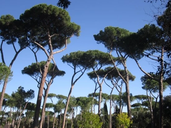 %C0%CC%C5%BB%B8%AE%BE%C6%BF%A9%C7%E0_2012.10_817.jpg?type=w2