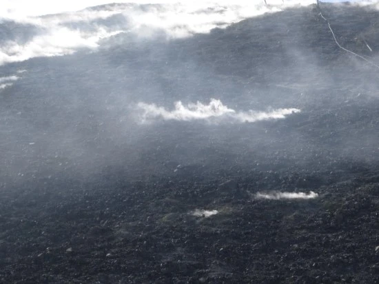 %C0%CC%C5%BB%B8%AE%BE%C6%BF%A9%C7%E0_2012.10_492.jpg?type=w2