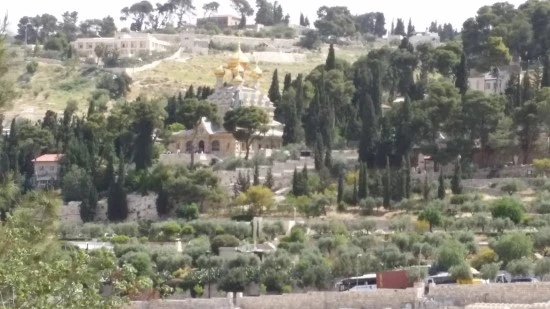 20170422_103025.jpg?type=w2