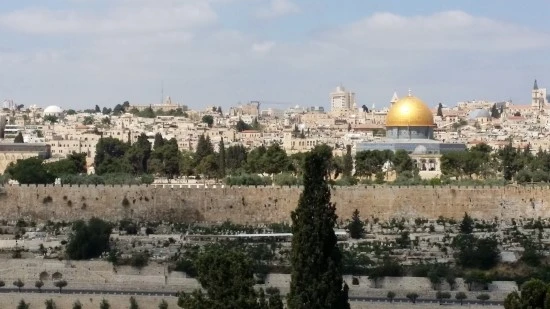 20170424_105749.jpg?type=w2