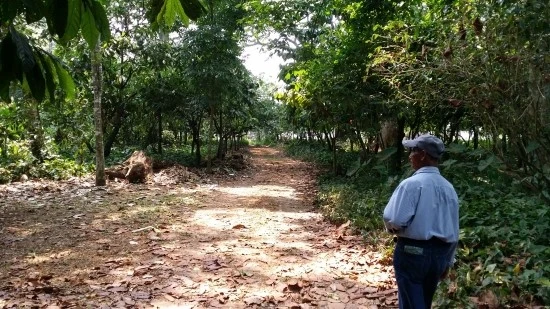 20160512_151012.jpg?type=w2