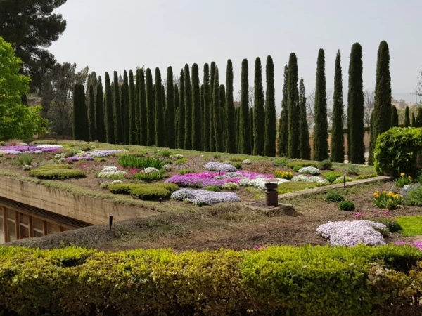 1528110529434.jpeg?type=w773