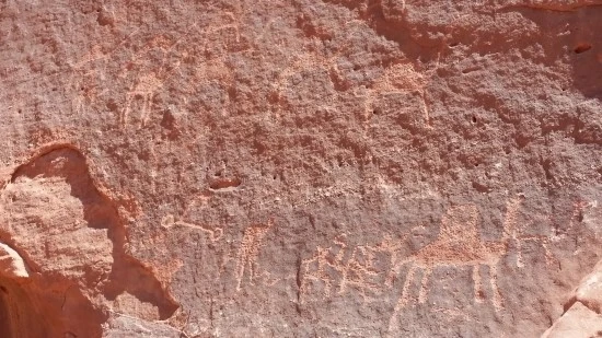 20170419_115651.jpg?type=w2