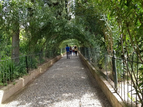 1528110526335.jpeg?type=w773