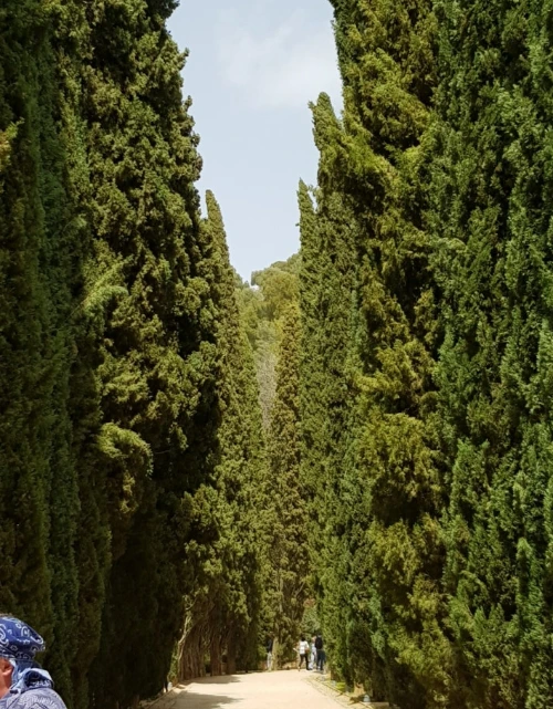 1528110456145.jpeg?type=w773