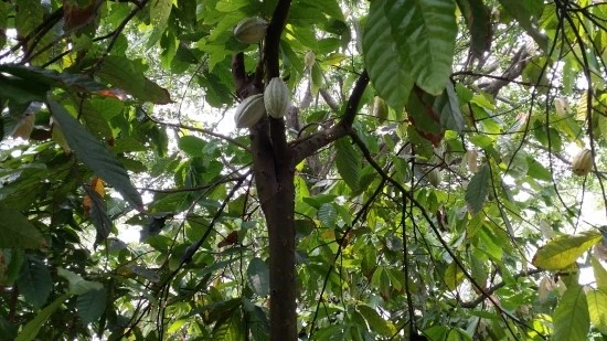 20160512_140043.jpg?type=w2