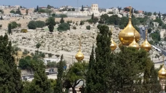 20170424_104651.jpg?type=w2