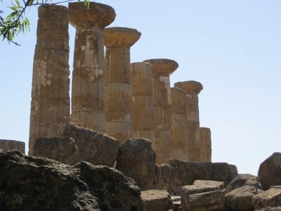 %BD%C3%C4%A5%B8%AE%BE%C6%BB%E7%C1%F8_238.jpg?type=w2