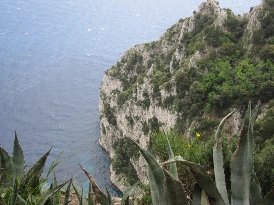 %C0%CC%C5%BB%B8%AE%BE%C6_%BF%A9%C7%E0_2012-5_048.jpg?type=w2