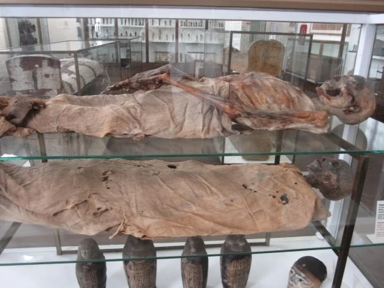 %C0%CC%C5%BB%B8%AE%BE%C6%BF%A9%C7%E0_2012.10_722.jpg?type=w2